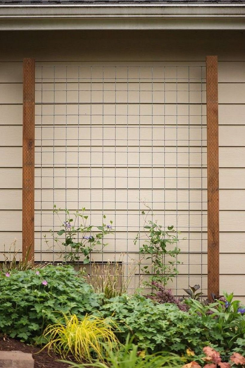 Iron and wooden trellis