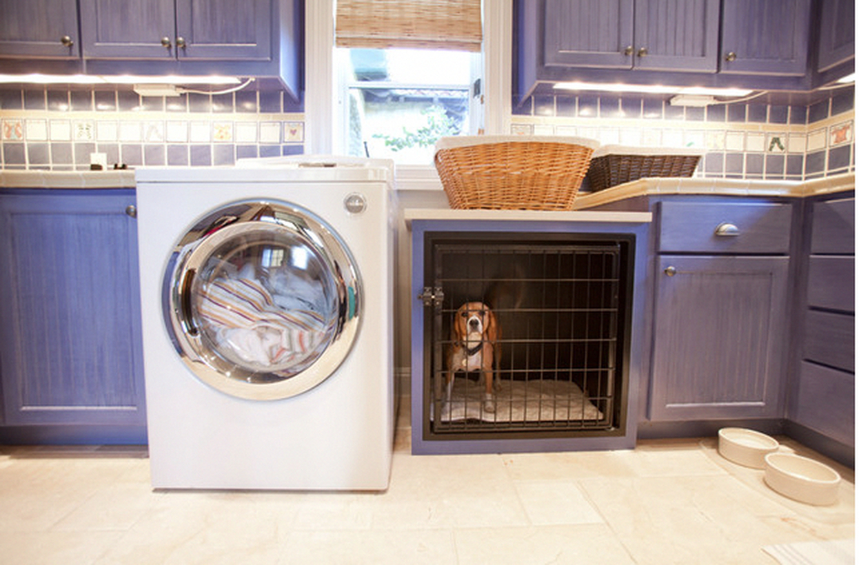 Iron dog house in laundry room
