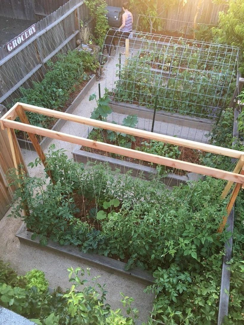 Iron trellis arrangement