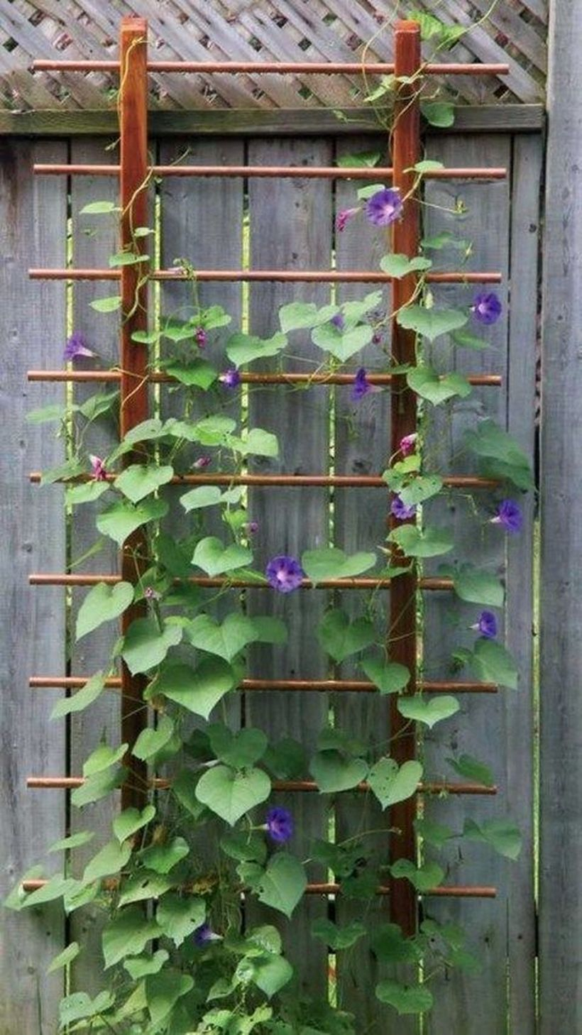Iron trellis lean back on fence