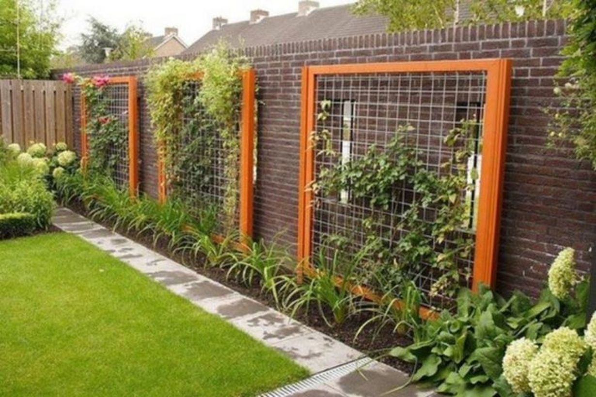 Iron trellis on concrete fence