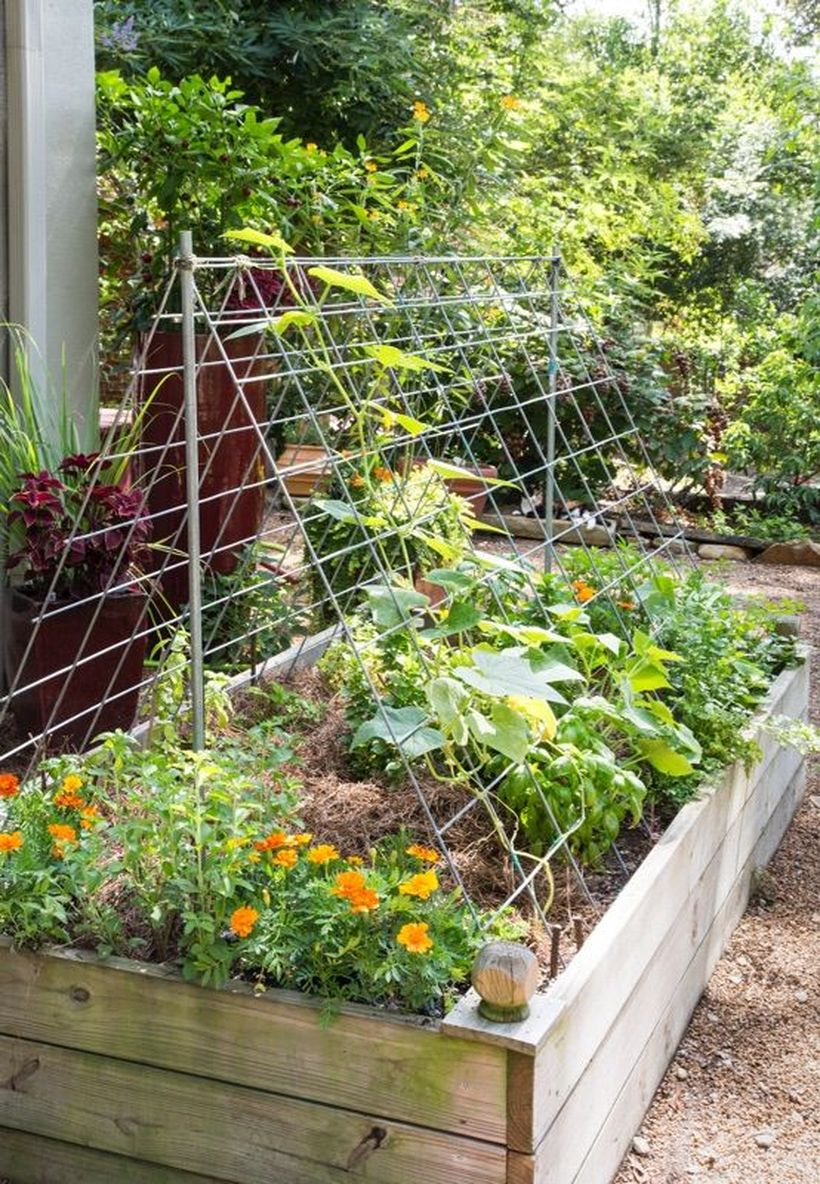 Iron trellis on wooden box