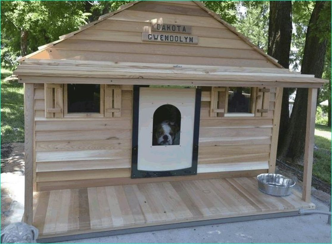 Large dog house for your pet