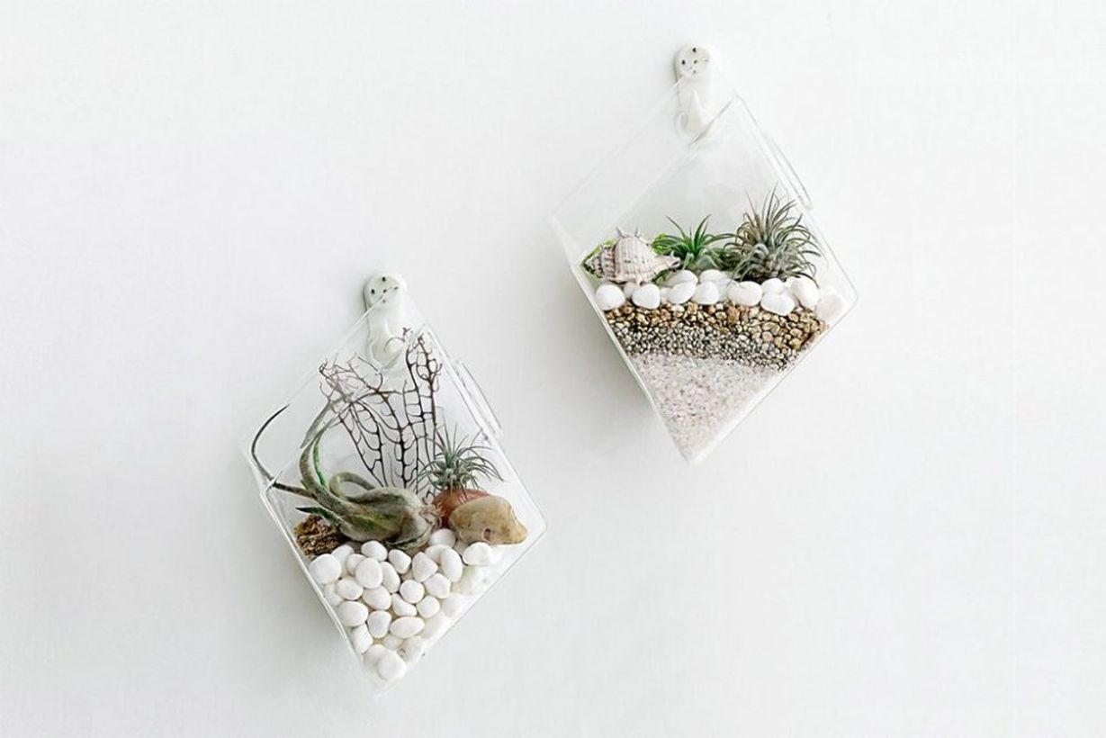 Modern glass terrarium can be used for wall decoration and make the room comfortable you must try
