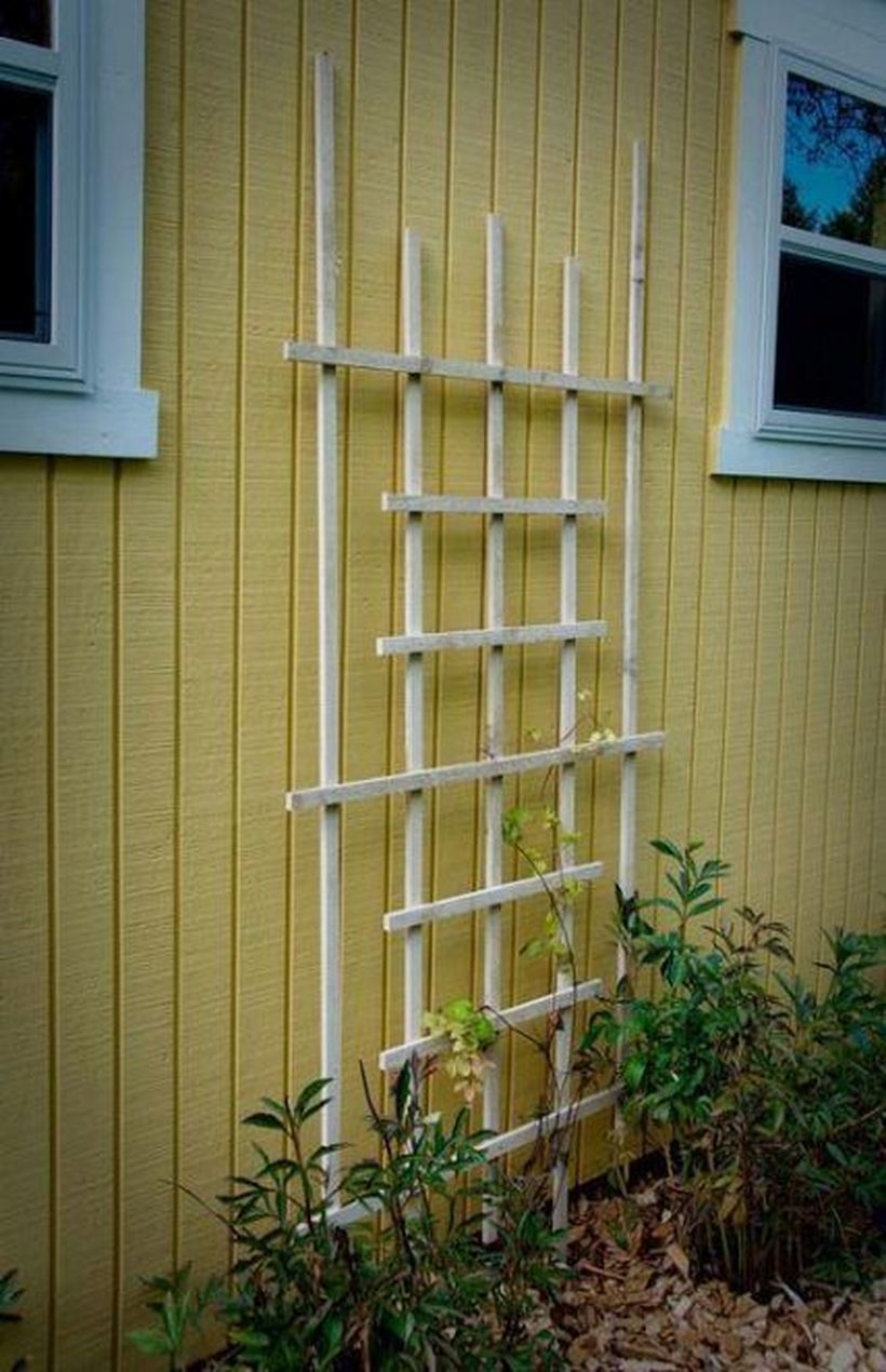 Natural wooden trellis