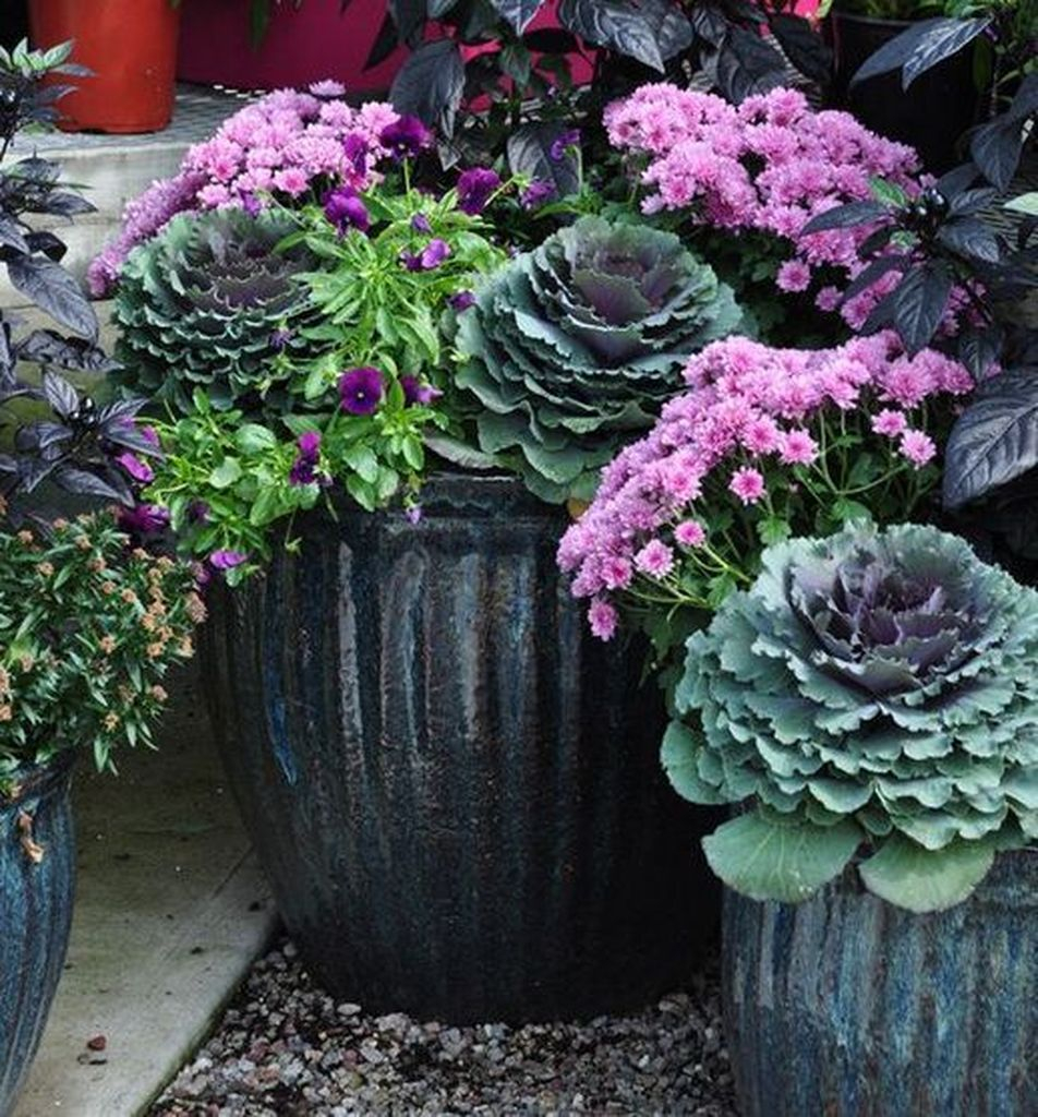 Perfect combination with flowers and plants for outdoor decoration