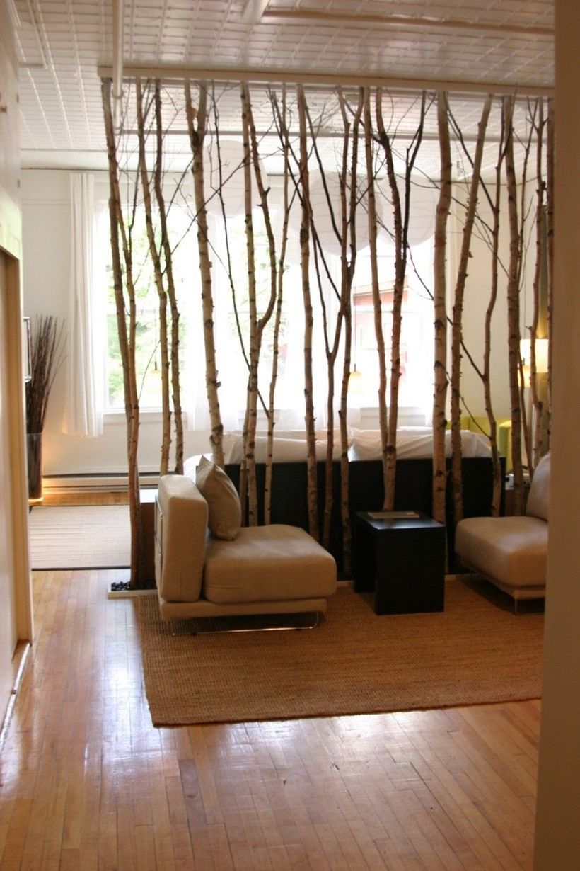 Room divider from eucalyptus tree