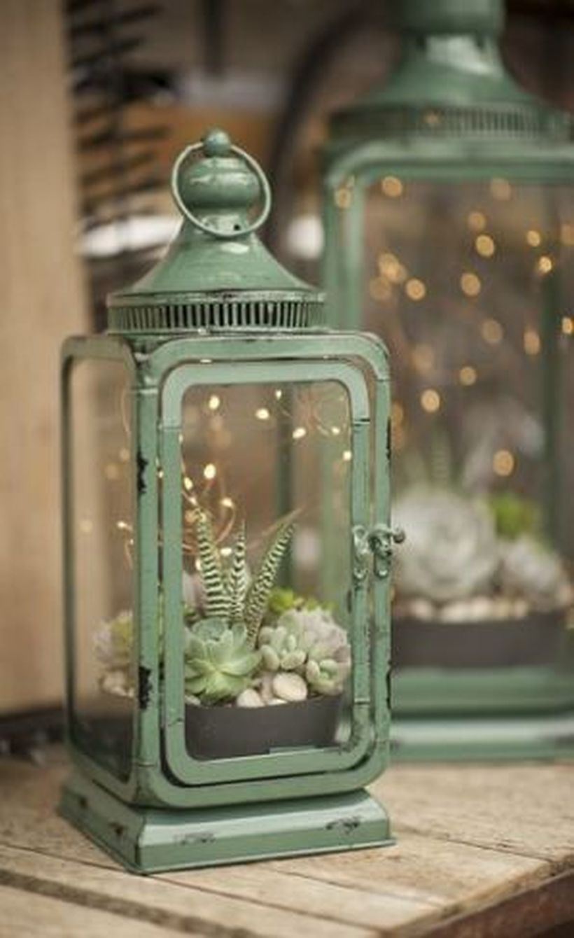 Simple create a succulent lantern from iron former for your home decoration