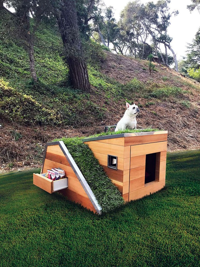 Simple dog house in backyard