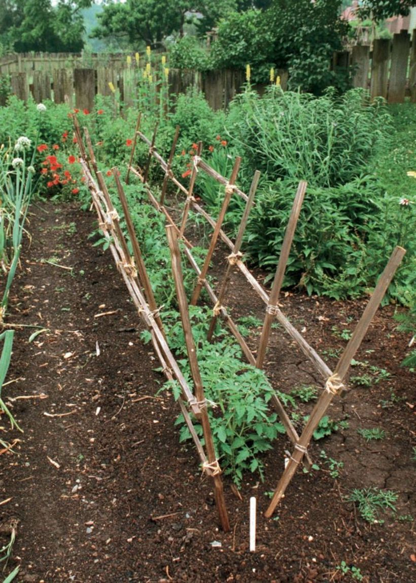 Simple wooden trellis