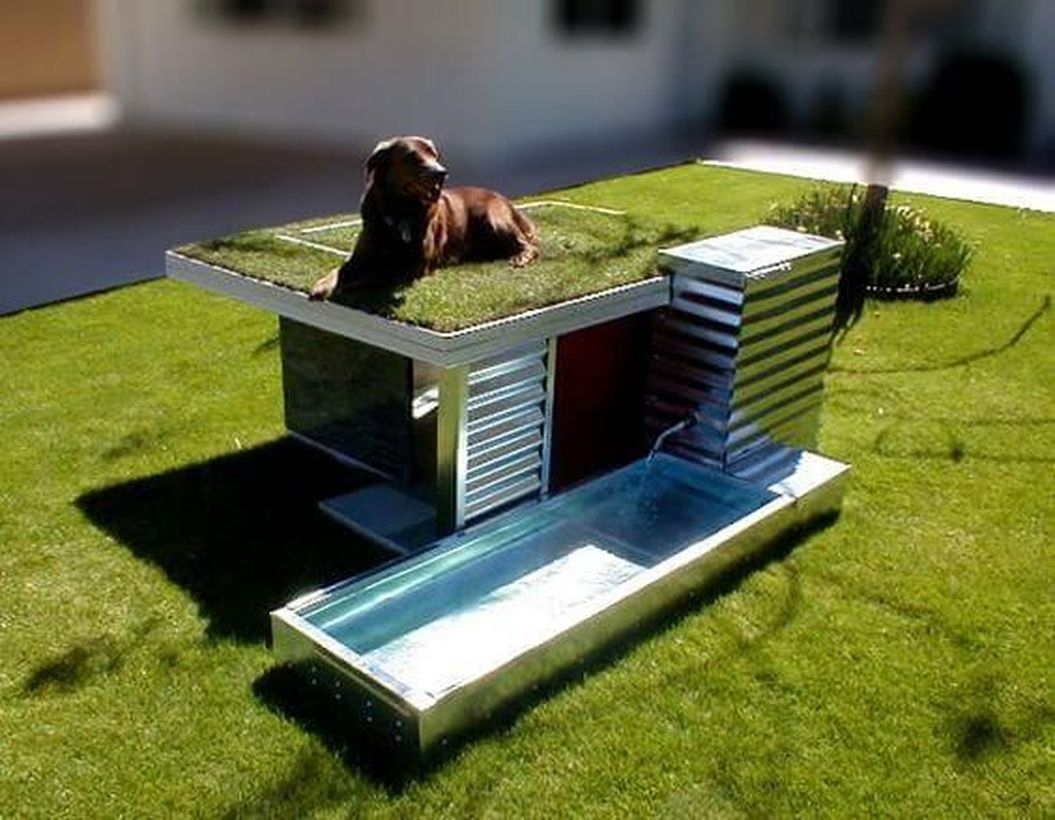 Small dog house and playground