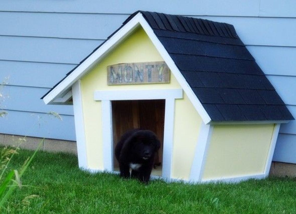 Small dog house in landscape