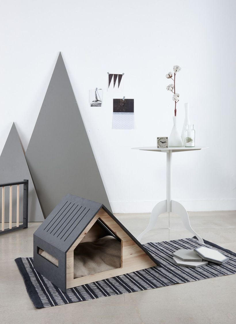 Small indoor dog house