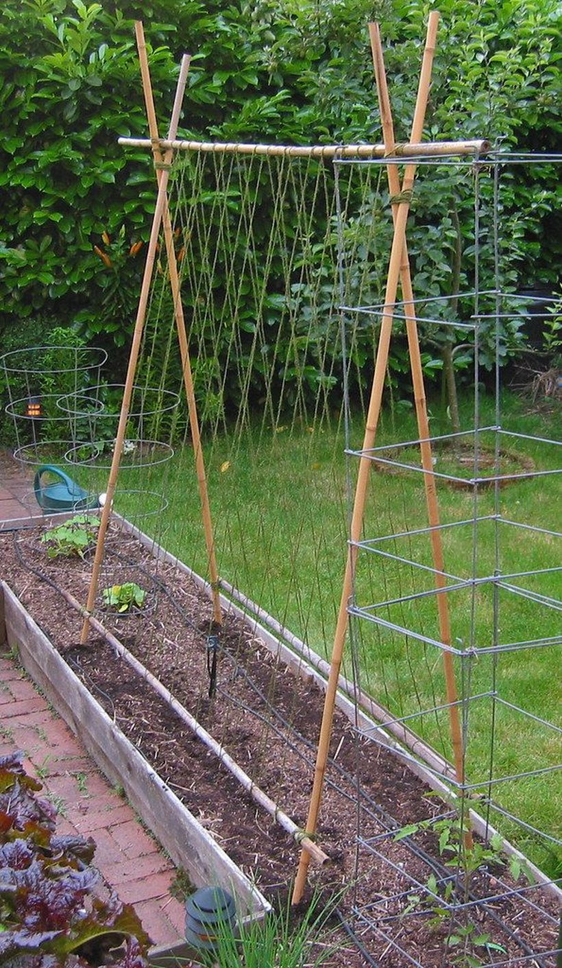 Unique shaped circle and square iron trellis