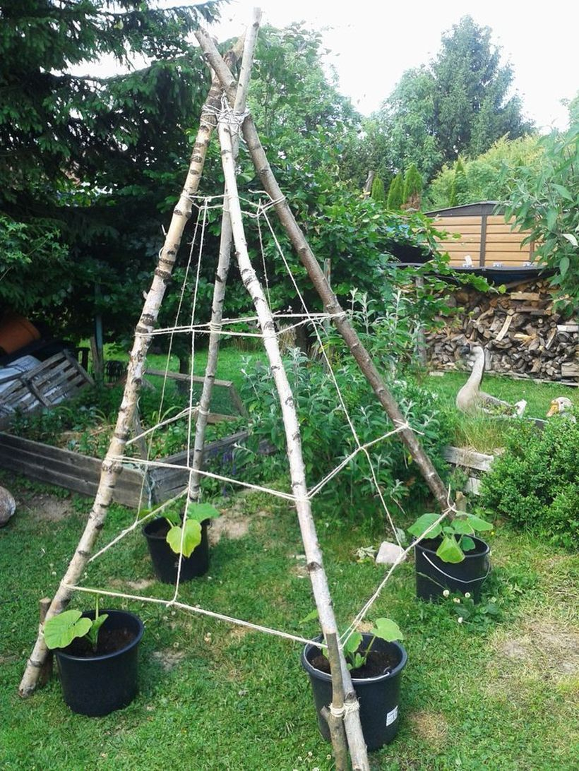 Unique triangle trellis
