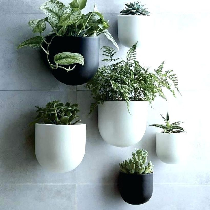 White and black terrarium design pot hanging on the wall for your decaration