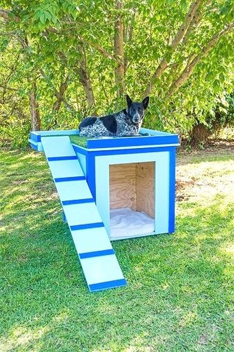 White and blue dog house in backyard