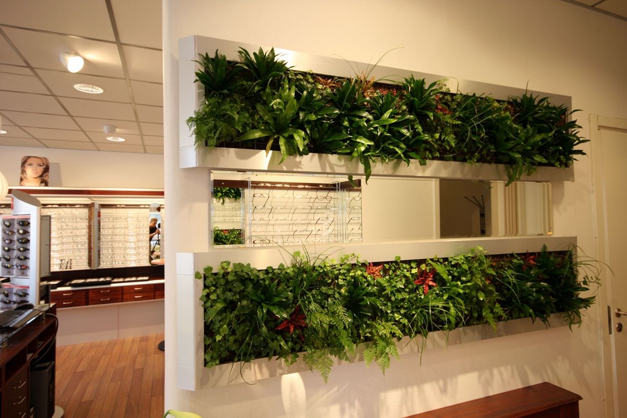 White vegetable room divider