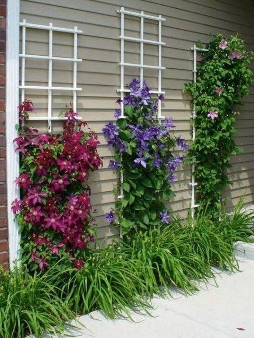 White wooden ladder trellis
