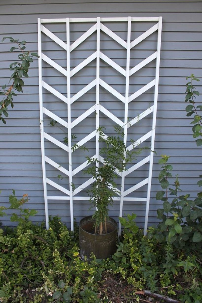 White wooden trellis