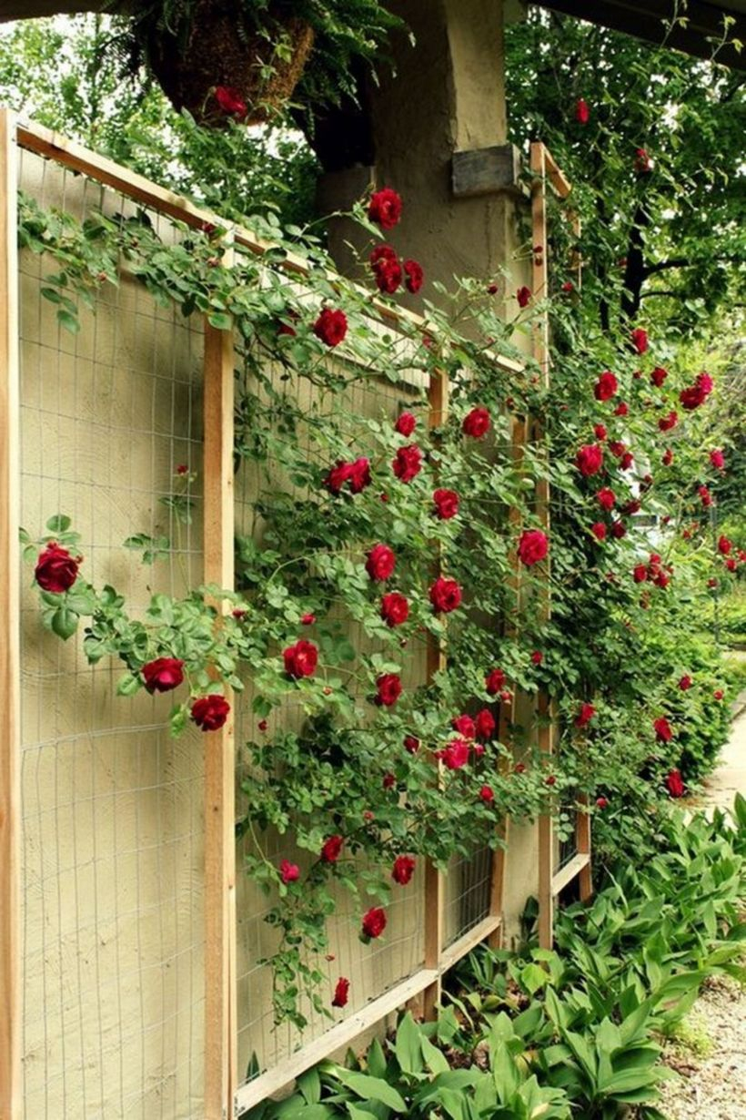 Wire and wooden trellis