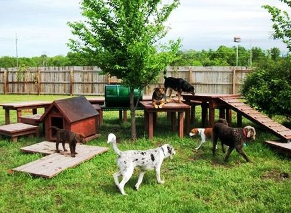 Wooden dog house and playground