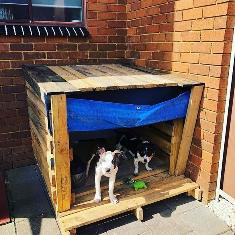 Wooden pallet dog house