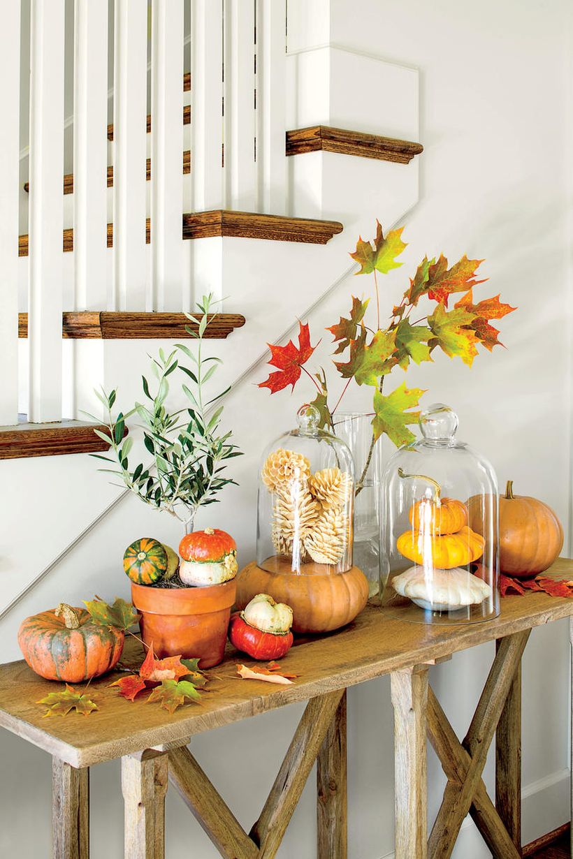 2377901_pumpk6114_0_1