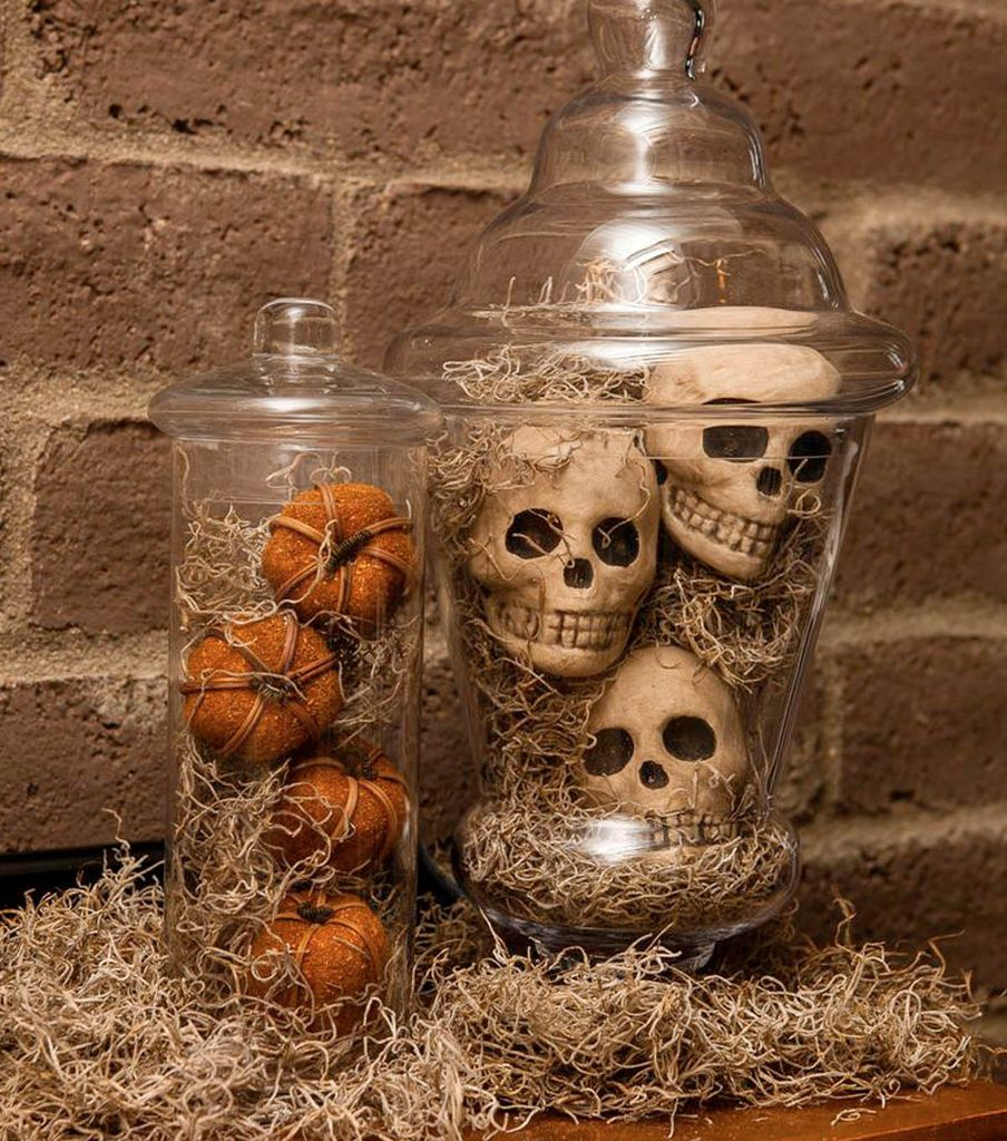 An awesome home decoration with the skull in the jar is combined with the roots to perfect your halloween decorations