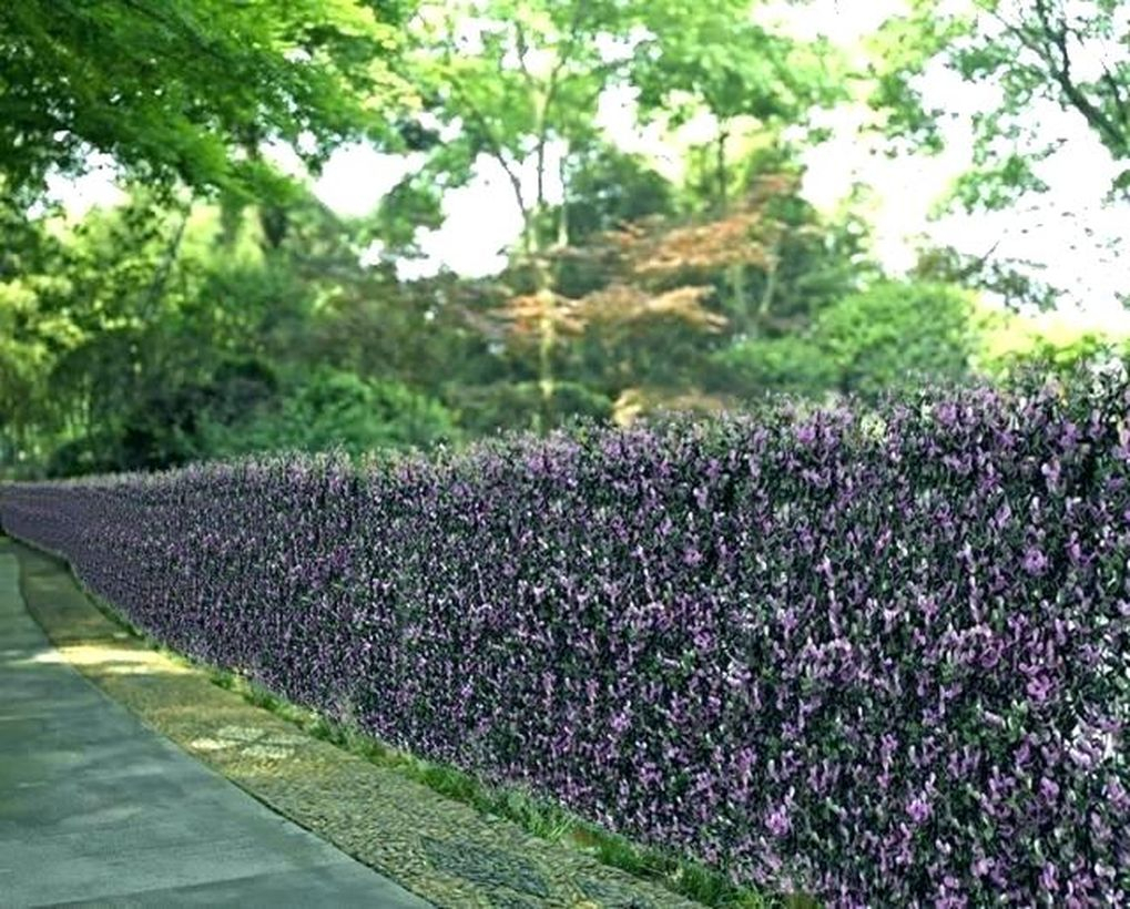 Garden screen with leaves