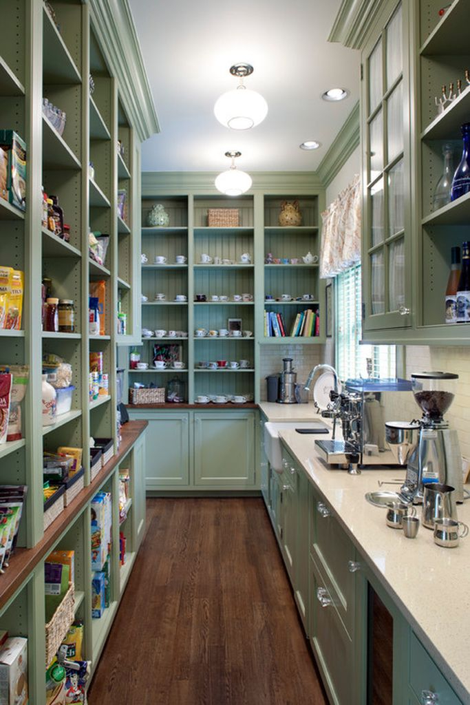 Modern kitchen with shelves pantry in green
