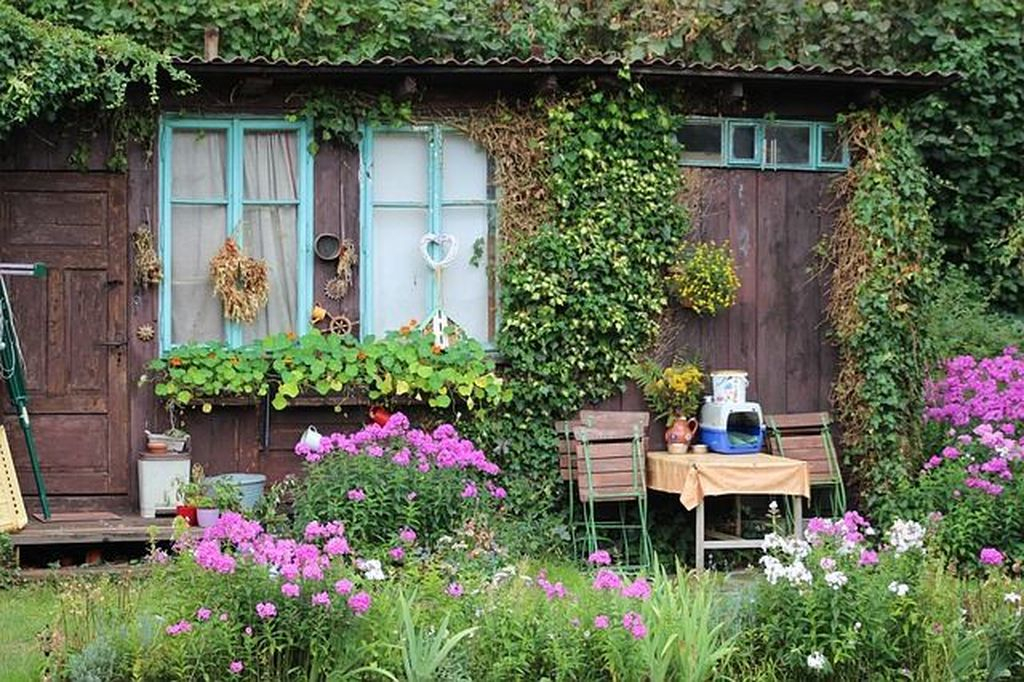 Natural shed combined with flower and plants