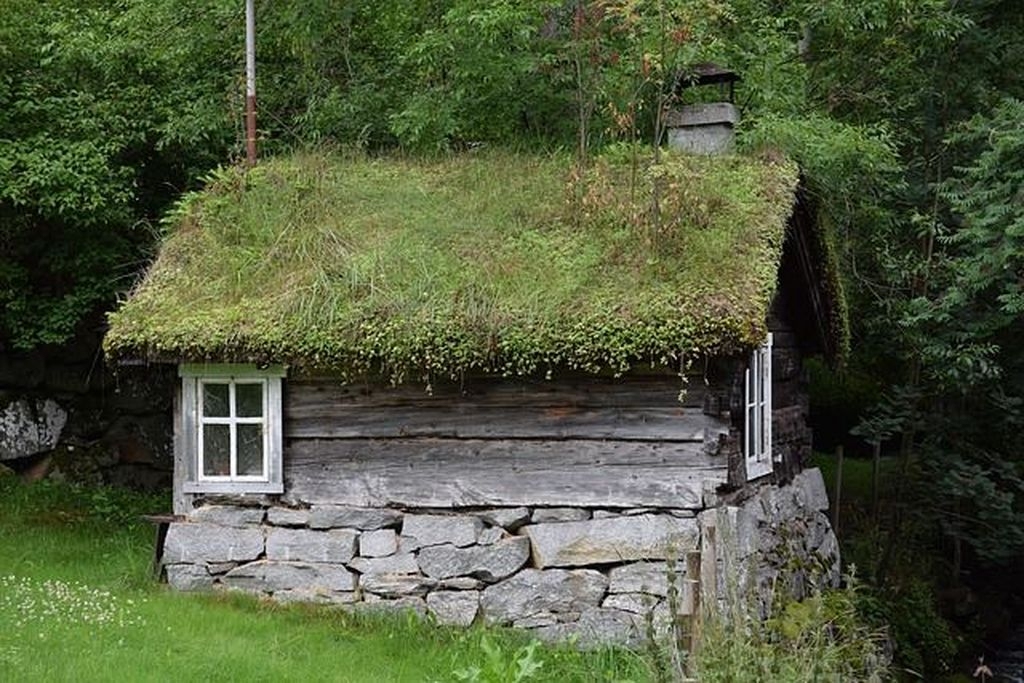 Wooden shed with roof plants