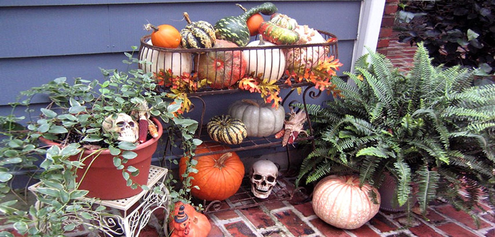 Decoration patio theme halloween with skull and pumpkin