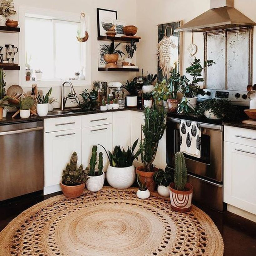 Round brown pattern flooring kitchen with white cabinet, wooden rack and plants