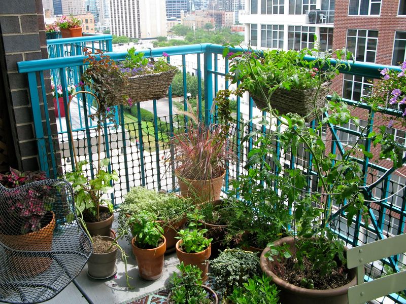 A-beautiful-balcony-garden-with-herbs-and-a-place-that-uses-rattan-knitted-and-vertical-rattan-on-your-balcony-railing.