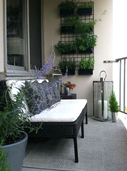 Affordable-balcony-garden-with-herb-and-vertical-place-attached-to-the-wall-using-black-iron-and-black-bench.