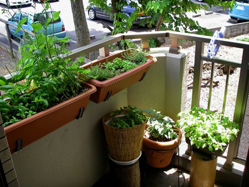 Balcony garden ideas pictures, garden