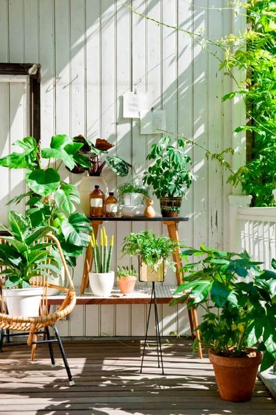 Decorative-plants-t’s-not-necessary-to-bring-in-supplies-like-shelves-and-cupboards-to-decorate-your-balcony-garden.