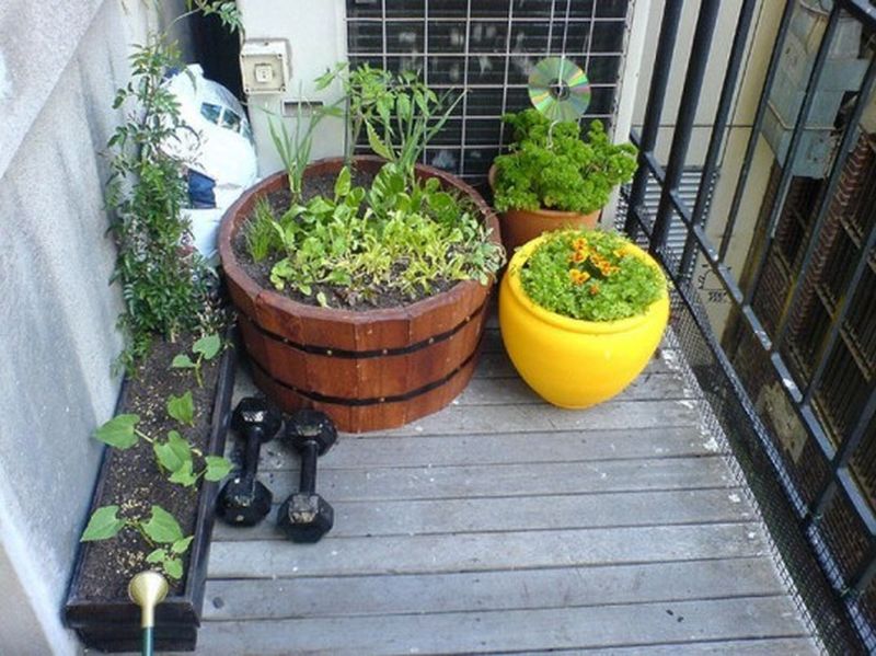 Here-is-one-more-hack-that-will-allow-you-to-grow-your-herbs-balcony-without-occupying-much-space-the-beautiful-one.