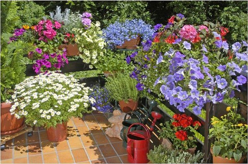 On-the-balcony-floor-use-decorative-pots-hanging-baskets-are-compulsory-too.-you-can-grow-flowers-herbs-and-even-tomatoes-in-hanging-baskets.