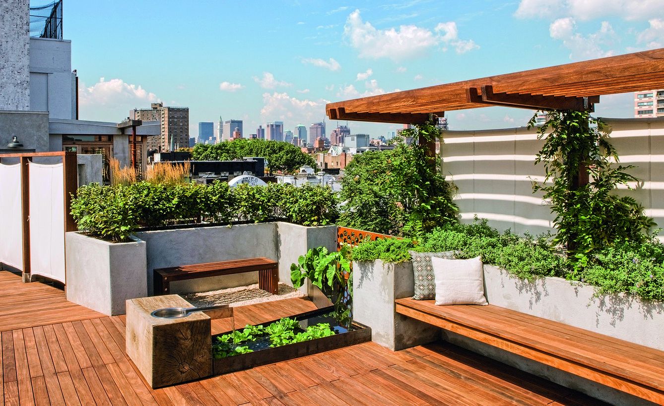 Rooftop-designs-with-greenery-which-is-like-a-garden-and-wooden-loung-chair-to-enjoy-a-green-and-fresh-atmosphere