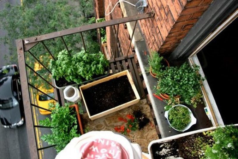 Balcony-garden8