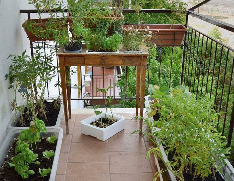 Balcony-herb-garden-7_mini