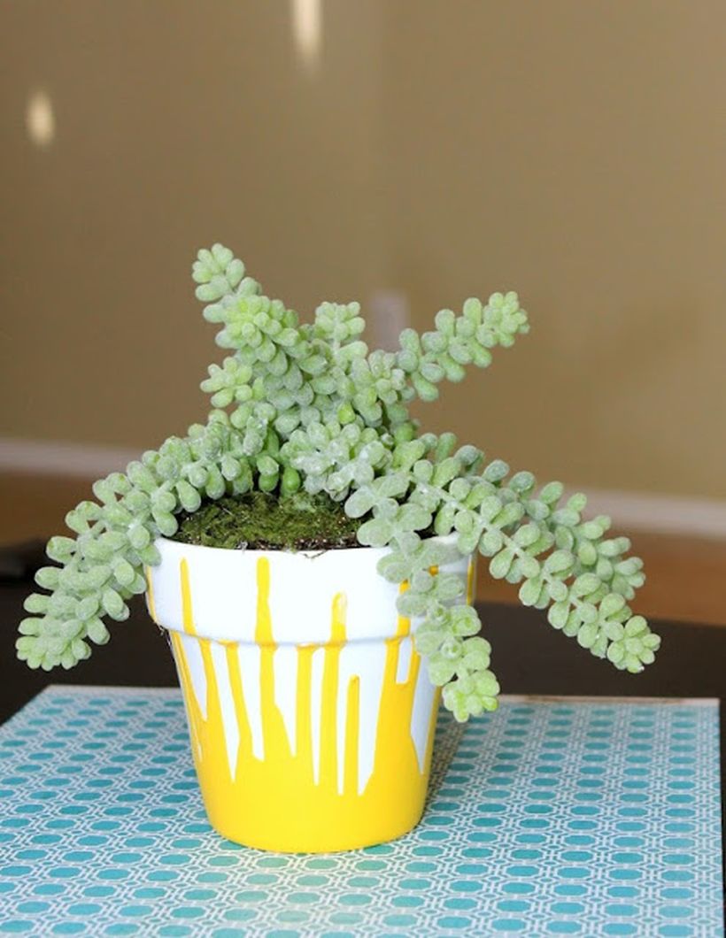 1-yellow-pot-1