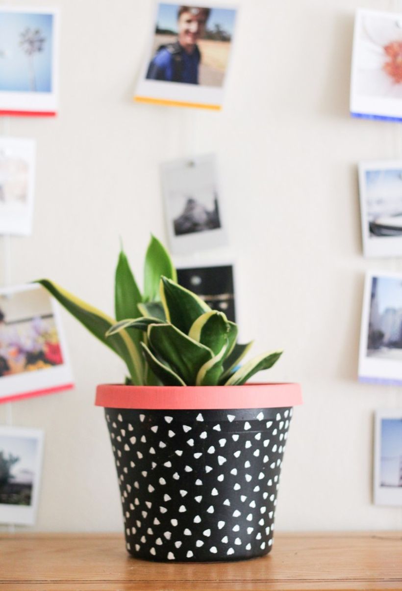 1diy-painted-planter-6-697x1024