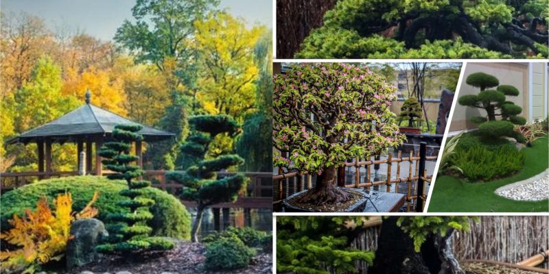 20 bonkei and saikei, japanese garden landscape art 5