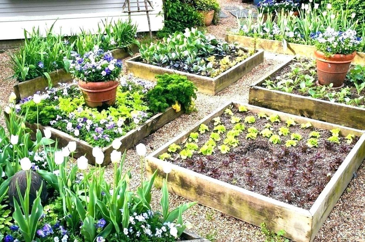 2landscape-timber-flower-bed-landscape-timber-flower-bed-home-inspirations-new-ideas