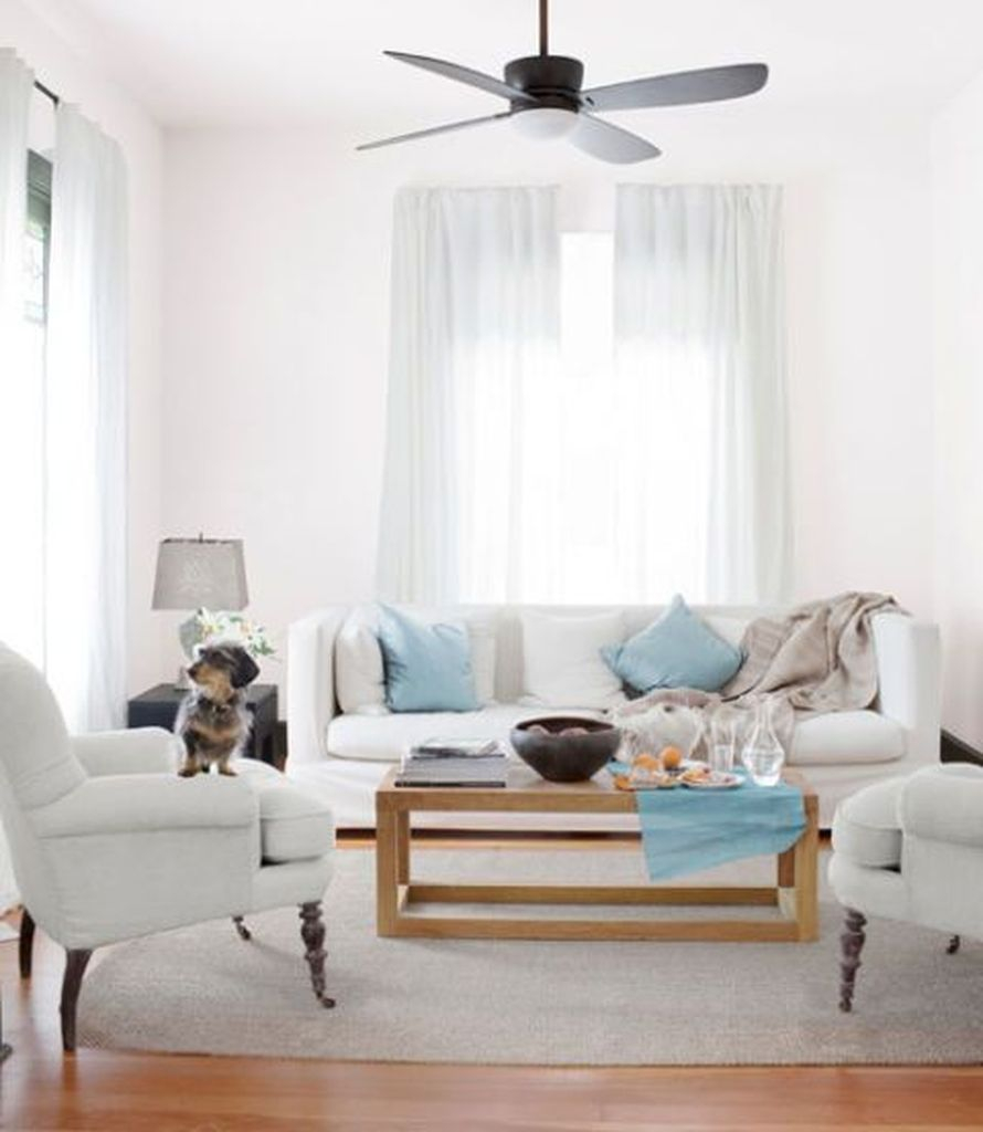 Bright living room with white colors