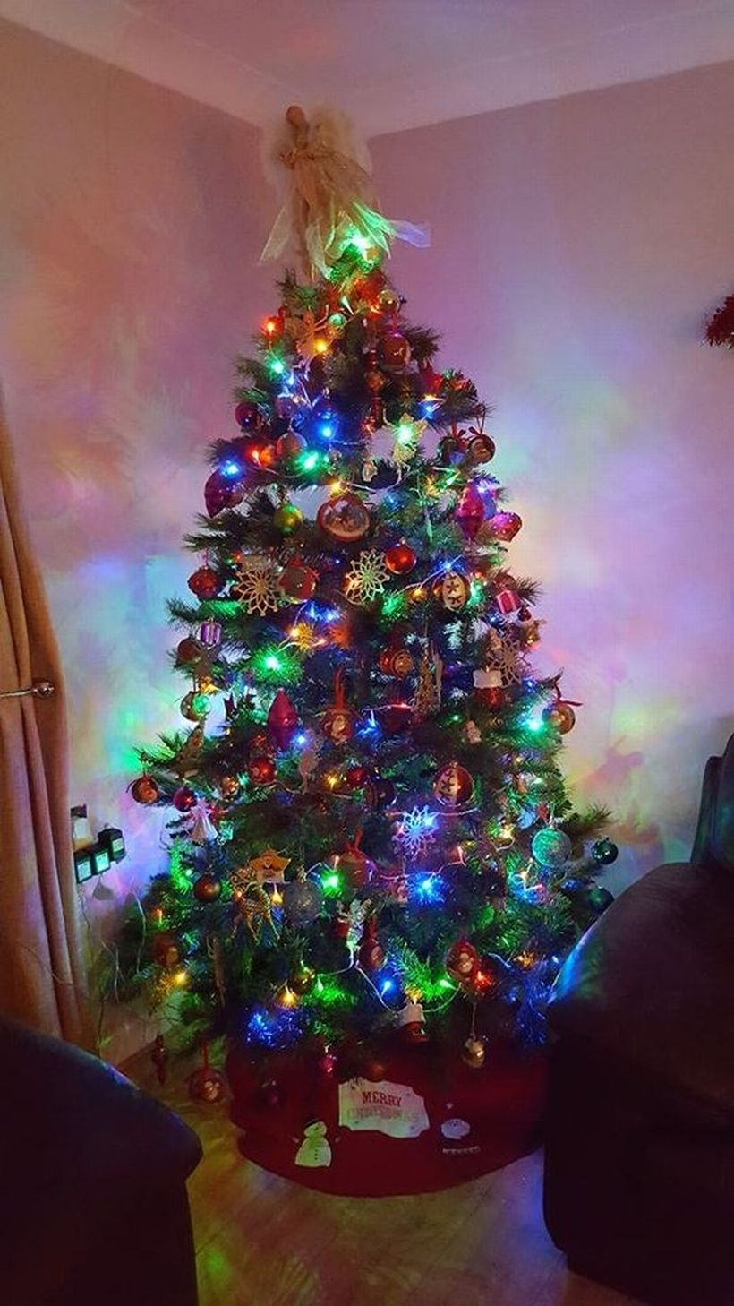 Chrismast tree combine with colorful ornament decoration